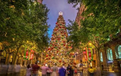 Sydney Christmas 2020 What’s On Guide