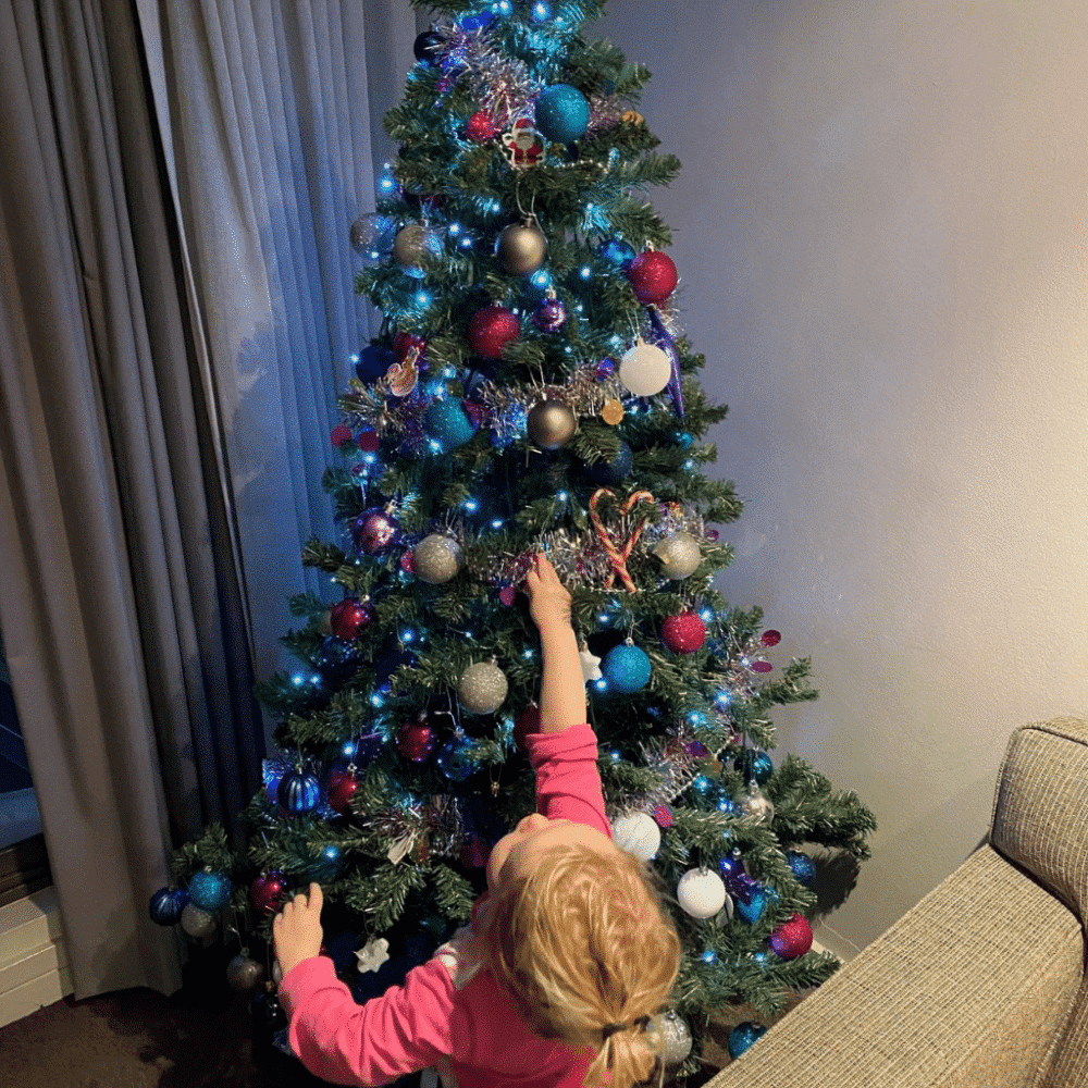 Christmas Tree & Decorations Hire – Decorate Yourself